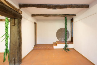 Installationsansicht, Since Forever, Sardenhaus, 2021